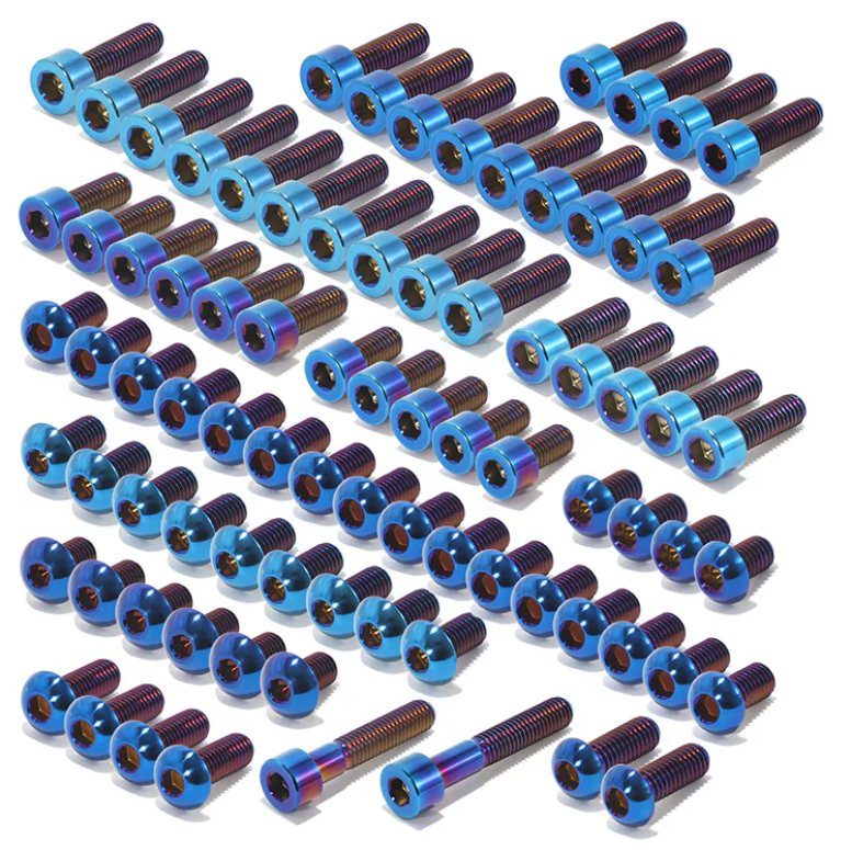 E Ride Pro S/SS Titanium Bolt Kit